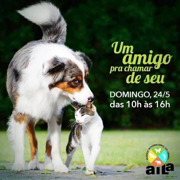 Participe da feira de adoção no Pátio Cotia e encontre um novo amigo. Adote com amor e faça a diferença na vida de um animal. Venha nos visitar!
