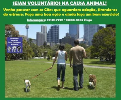 Junte-se a Nós no Grande Dia da Adoção Animal em Manaus!