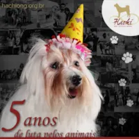 Mutirão de Castração para Cachorros