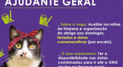 Ajudante Geral