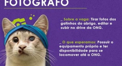 Fotografo