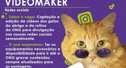 Video Maker