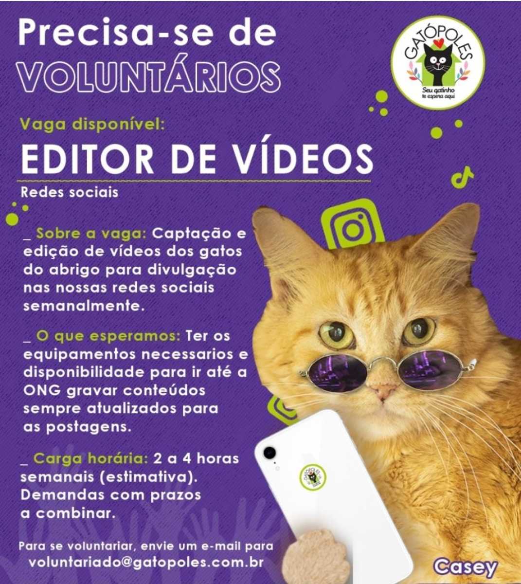 Editor de Video