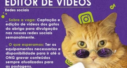 Editor de Video