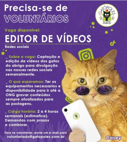 Editor de Video