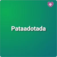 Feira virtual: Pataadotada
