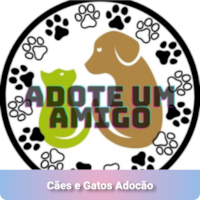 Feira virtual: Cães e Gatos Adocão 
