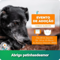 Feira virtual: Abrigo patinhasdeamor 
