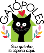 Gatópoles Adoção de Gatinhos