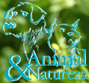 ONG-Animal & Natureza 
