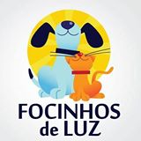 Focinhos de luz