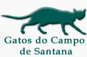 GATOS DO CAMPO DE SANTANA
