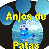 Lar Anjos de Patas