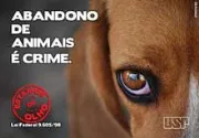 APA - Associação de Proteção Animal