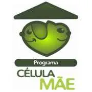 Célula Mãe 