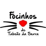 Focinhos de Taboão da Serra