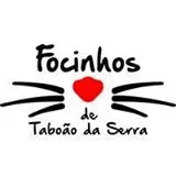 Logo Focinhos de Taboão da Serra?