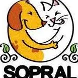 Logo Sopral de Leme ?