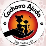 Cachorro Ajuda