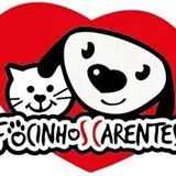 Logo Focinhos Carentes Jaraguá do Sul?