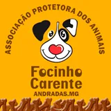 Focinho Carente