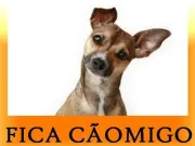 Logo FICA CÃOMIGO?