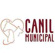 Canil Municipal de Santa Cruz do Sul