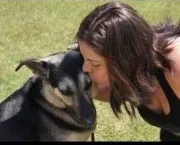 Donna: Bicho Feliz