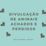 Divulgação de Animais Achados e Perdidos