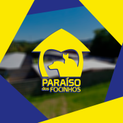 ONG Paraíso dos Focinhos