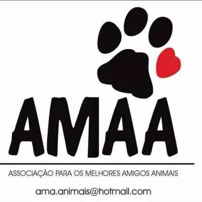 ASSOCIAÇÃO AMAA 